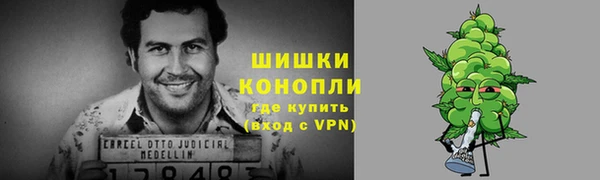 сатива Абдулино