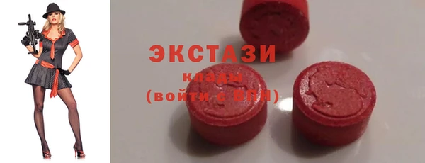 индика Осташков
