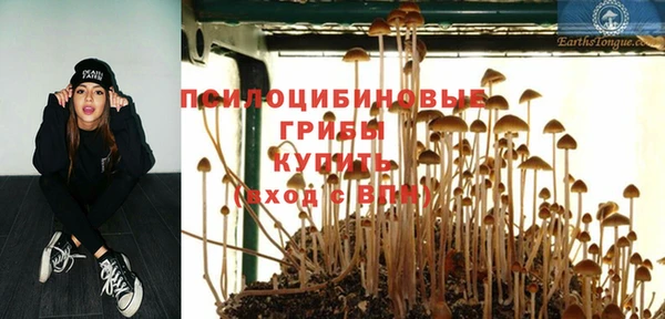 мет Няндома