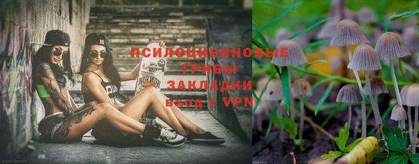 соль курить ск Абаза